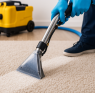 Carpet Sanitization